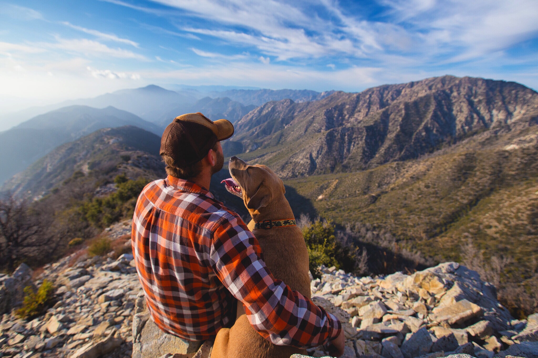 mans-best-friend_t20_6wkzz9 vacation travel